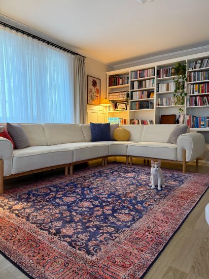 Private85 Blue Red Persian & Oriental Indoor Rug