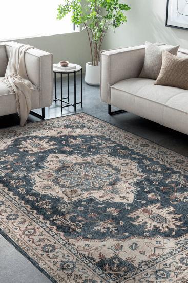 Private85 Blue Beige Oriental Bordered Living Room Rug