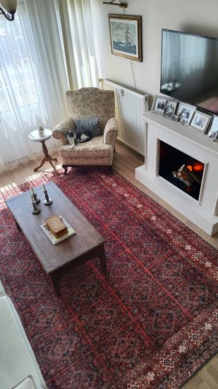 Private85 Beige Red Modern Oriental Area Rug