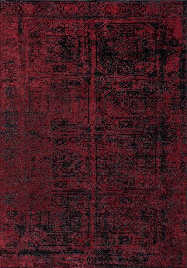 Vintage Black & Red Enchantres Area Rug