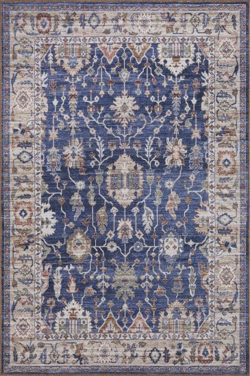 Baskili Blue Beige Persian & Oriental Indoor Rug