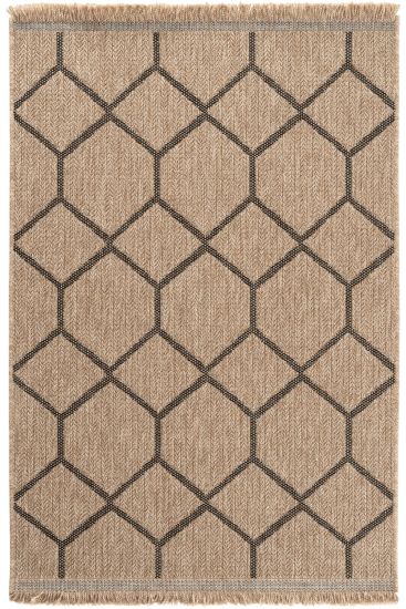 Haptir Brown Jute & Sisal Geometric Outdoor Area Rug
