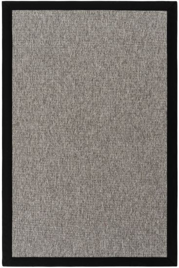 Sipatal Grey & Black Bordered Area Rug