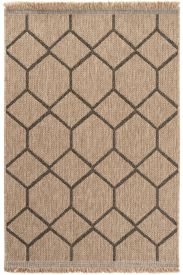 Haptir Brown Jute & Sisal Geometric Outdoor Area Rug