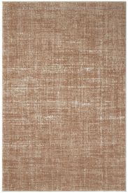 Maidan85 Copper Distressed Area Rug