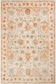 Private85 Modern Oriental Multicolour Living Room Rug