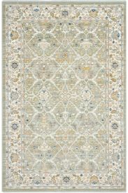 Zaraf85 Green beige Patterned Bordered Indoor Rug