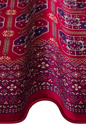 Mihra85 Red Patterned Bordered Indoor Rug