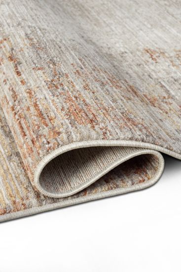 Seremoni85 Beige Copper Distressed Area Rug