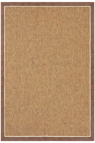Sisal85 Beige Brown Plain Bordered Living Room Rug
