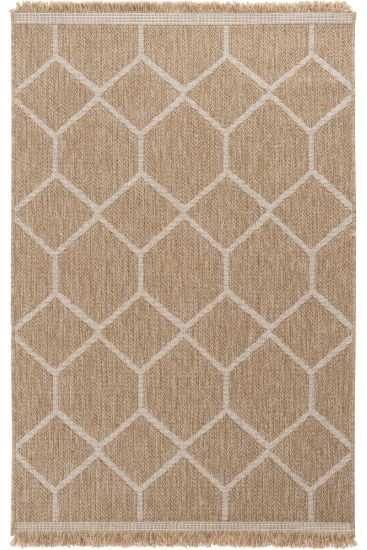 Brown Haptir Jute & Sisal Geometric Outdoor Area Rug