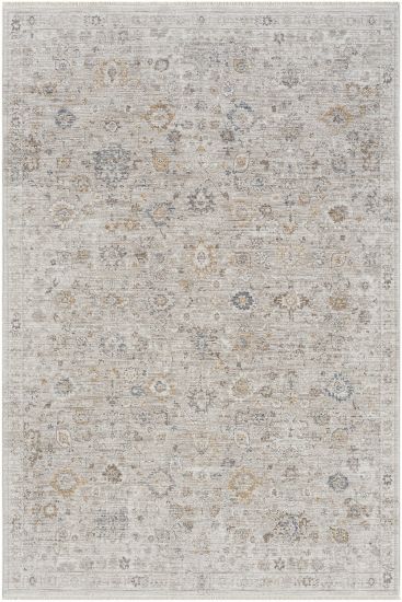 Seremoni85 Beige Blue Patterned Bordered Indoor Rug