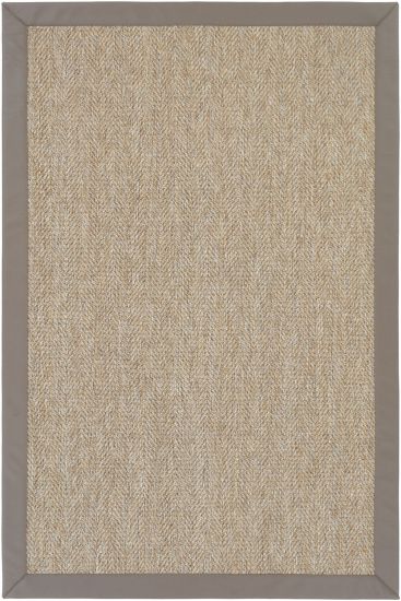 Beige Brown Plain Bordered Sisal85 Indoor Rug