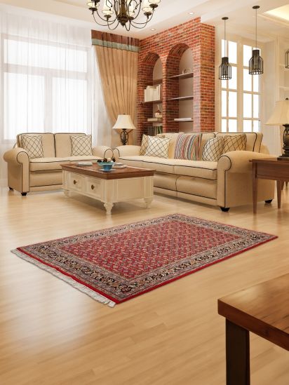 Persian Red Oriental Hand-Knotted Living Room Rug