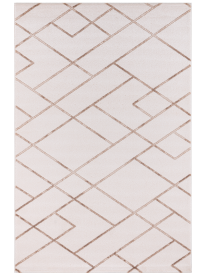 Kilyosa Beige Brown Geometric Indoor Rug